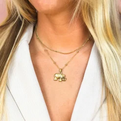 Goudkleurige ketting met klassiek detail