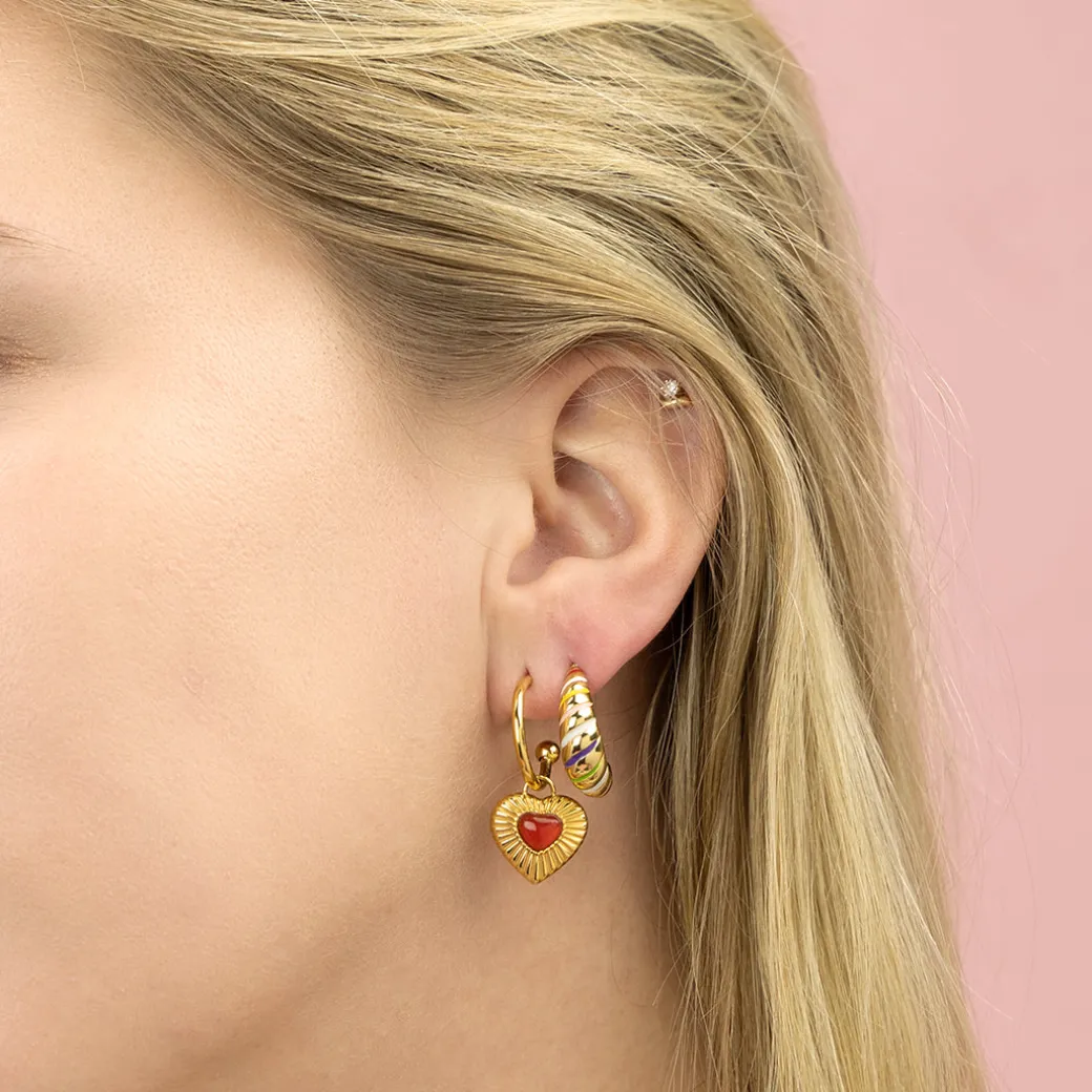 Goudkleurige oorbellen met multicolor