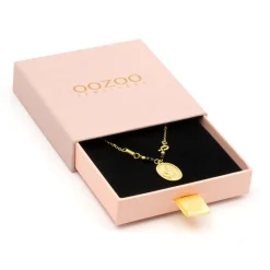 Goudkleurig/zwarte ketting met een haas