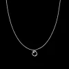 Zilverkleurige ketting met een appel