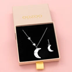 Zilverkleurige oorring + ketting set met een maan bedeltje