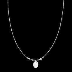 Zilverkleurig/zwarte ketting met een haas